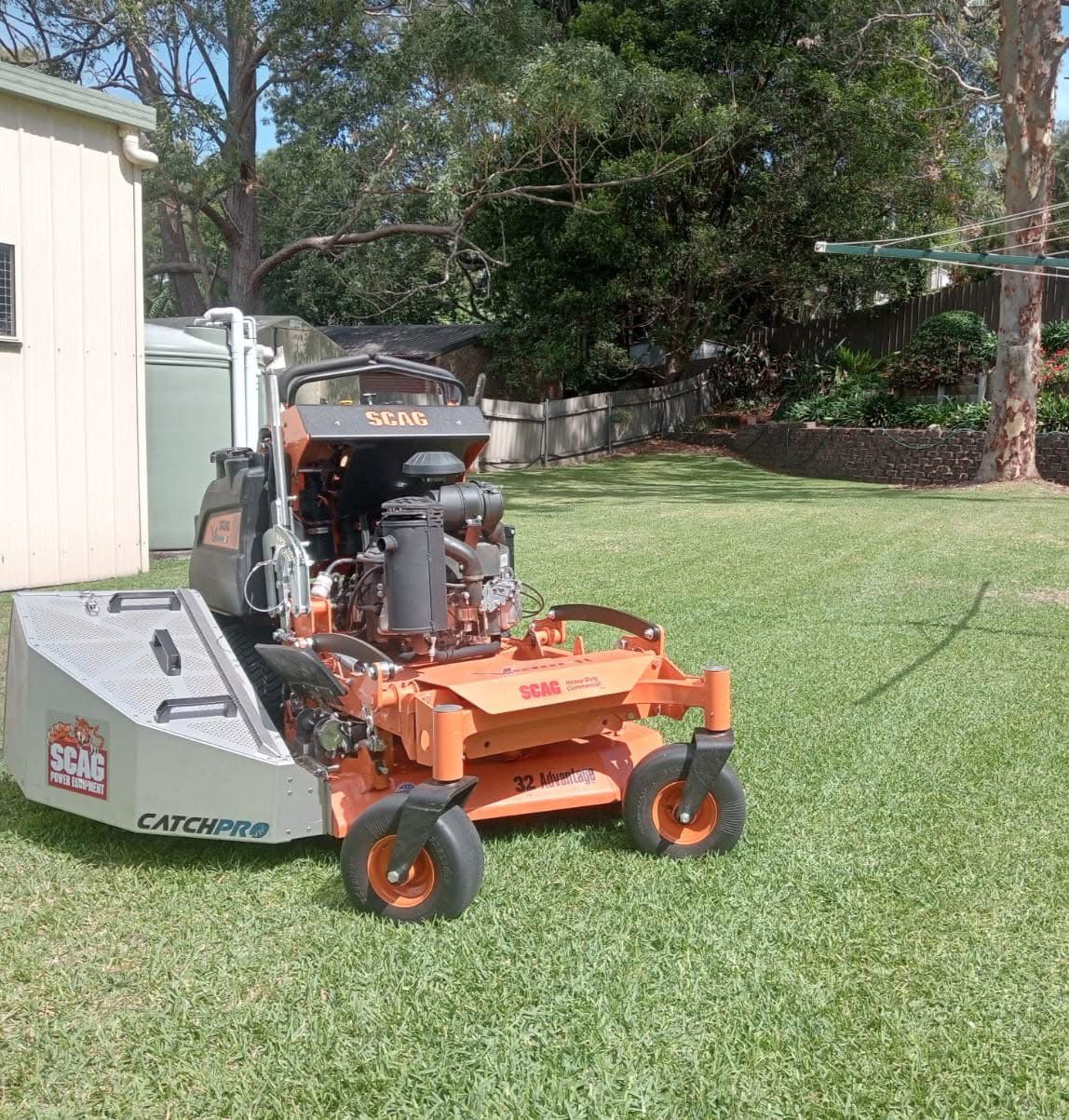 Swansea mowing